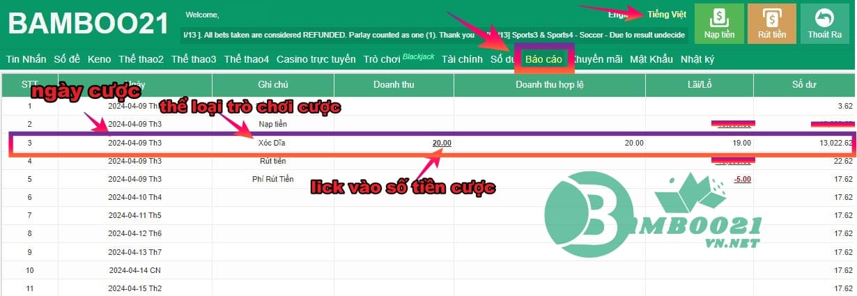 Chi tiết cách xem lịch sử cược Bamboo21