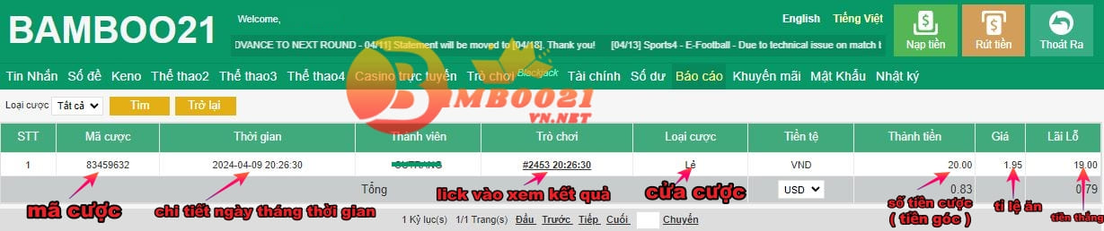 ảnh minh họa khi lick vào số tiền mục doanh thu