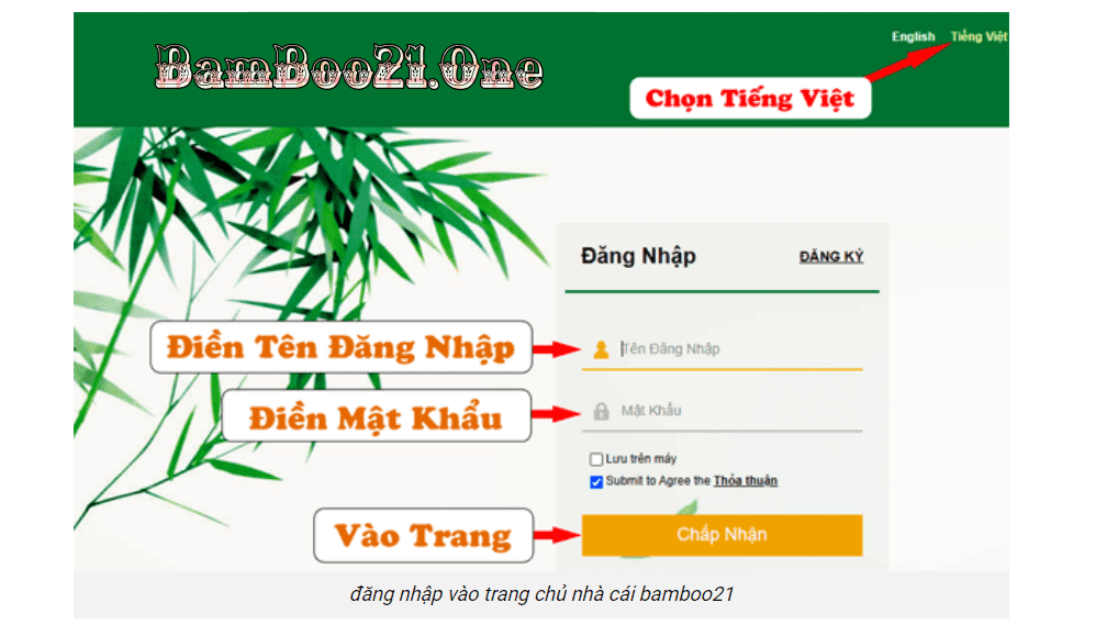 Hướng Dẫn Đăng Nhập Nhà Cái BamBoo21